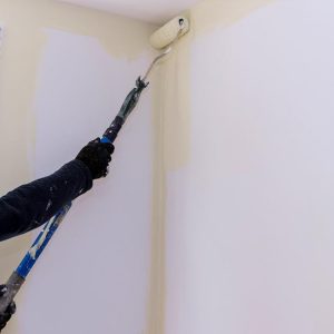 Test Premier and Specialist Paint Product