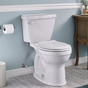 Test Toilets Product